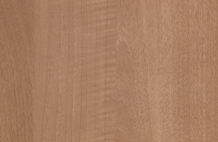Brazilwood