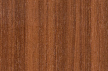New Cinnamon Sapely